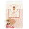 Festive Rudolph Reindeer Treat Box Set – 6 Holiday Boxes with Tags, Twine & Gold Foil Accents for Gifts